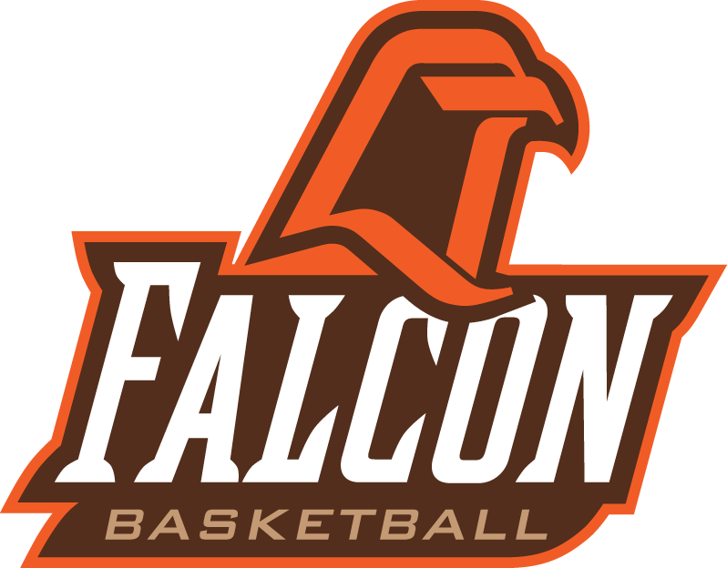 Bowling Green Falcons 1999-2005 Alternate Logo v2 diy DTF decal sticker